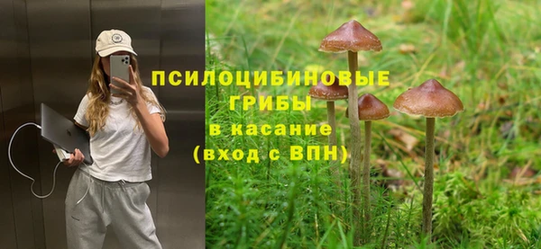 прущие крисы Елизово