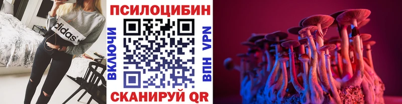 Псилоцибиновые грибы ЛСД  где купить наркотик  Жуковка 